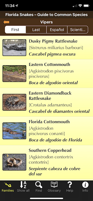Florida Snakes Screenshot 2