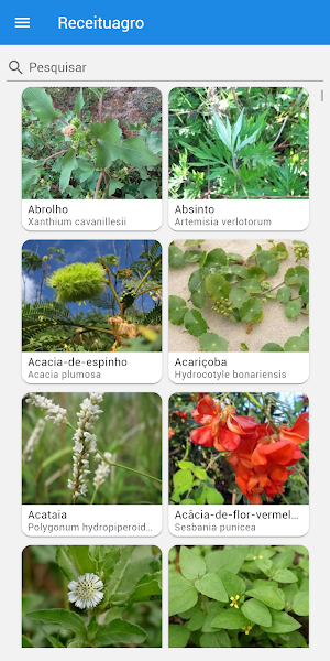 ReceituAgro - Defensivos e Pragas Agrícolas Screenshot 1