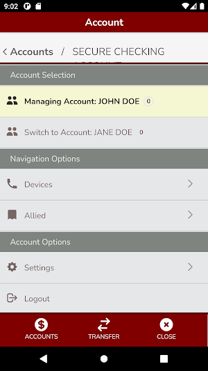 Latvian Credit Union Screenshot 3