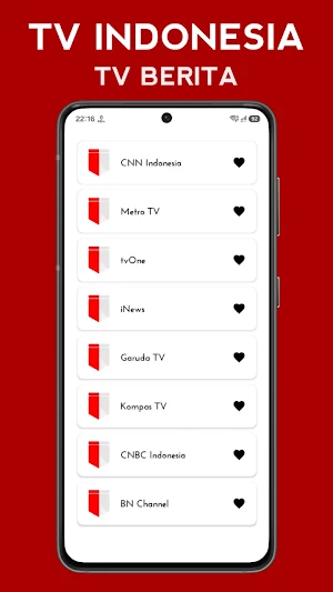 TV Indonesia Langsung Screenshot 3