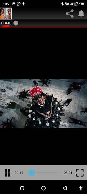 Fireboy DML&Joeboy all songs Screenshot 0