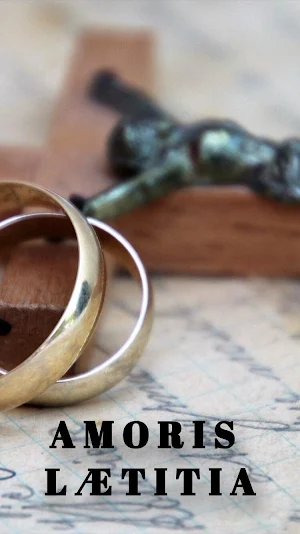 Amoris Laetitia - A alegria do amor Screenshot 0