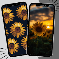Sunflower Wallpaper