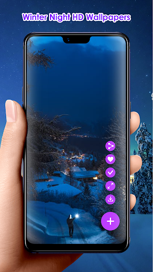 Winter Night HD Wallpapers Screenshot 2