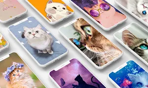 Cute Cat Wallpaper Screenshot 0