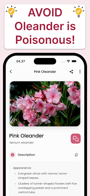Flower Identifier: Learn, Care Screenshot 1