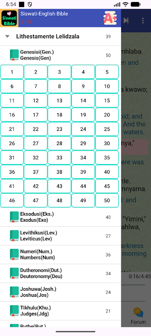 Siswati English Audio Bible Screenshot 1