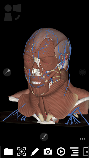 3Dissect Head & Neck Screenshot 0