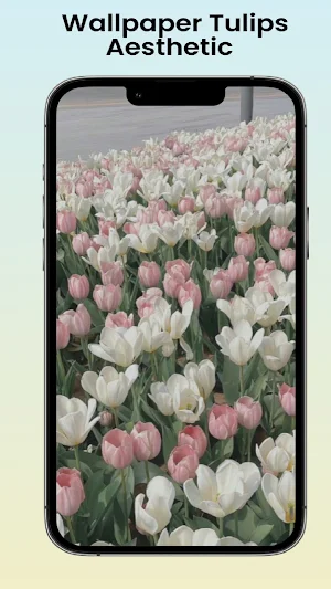 Wallpaper Tulips Aesthetic Screenshot 1
