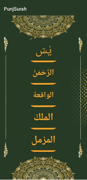 Panj Surah Screenshot 1