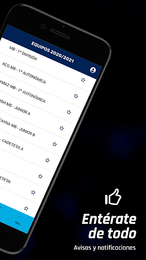Ciudad Molina Basket Screenshot 2