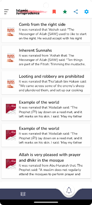 Islamic Jurisprudence Screenshot 1