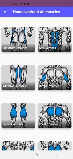 Home workout all muscles Screenshot 1