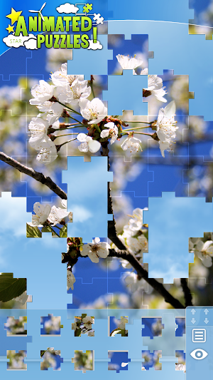 Animated Puzzles Star Screenshot 0