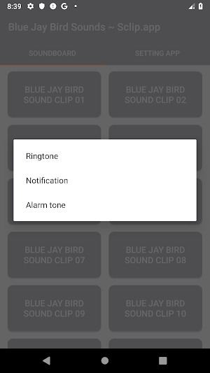 Blue Jay Bird Sound Collections ~ Sclip.app Screenshot 3