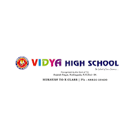 Vidya High School