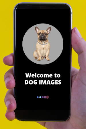 Dog Images - Dog Wallpapers Screenshot 0