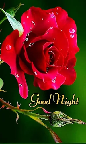 Good night Images Screenshot 3