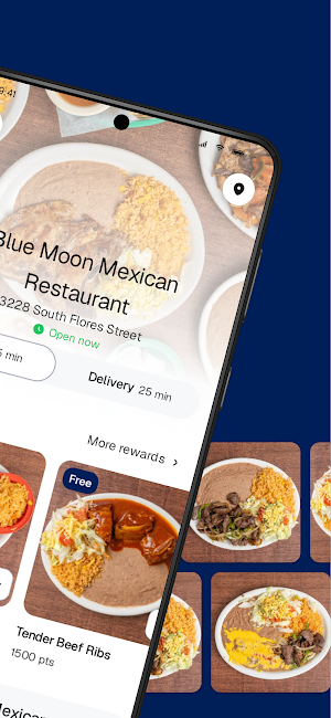 Blue Moon Mexican Restaurant Screenshot 1