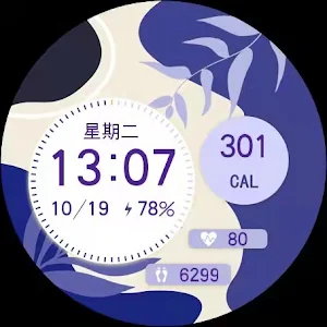 TicWatch Midsummer Screenshot 1