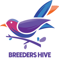 Breeders Hive - Birds Aviary