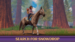 Star Equestrian - Horse Ranch Screenshot 2