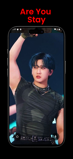 Stray Kids Images Screenshot 2