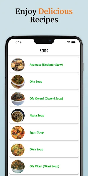 Authentic Nigerian Food Recipes by Florence N Screenshot 1