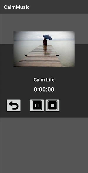 Calm Music Screenshot 2