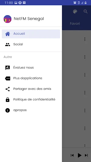 NetFM Senegal Screenshot 3