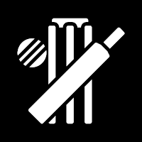 Gully Cricket Scorer