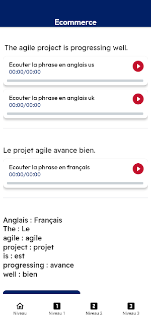 VocAnglais : Anglais-Français Screenshot 3