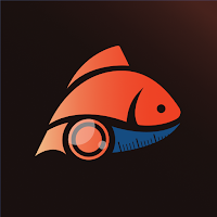 Fishtechy(Stg)