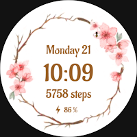 DADAM16 Flower Watch Face