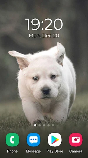 Dog Wallpaper 2023 Screenshot 1