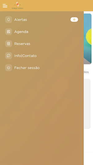 Emquadra Joinville Screenshot 1