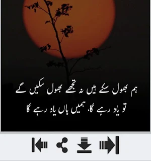 Ibn e Insha Shayari Screenshot 0