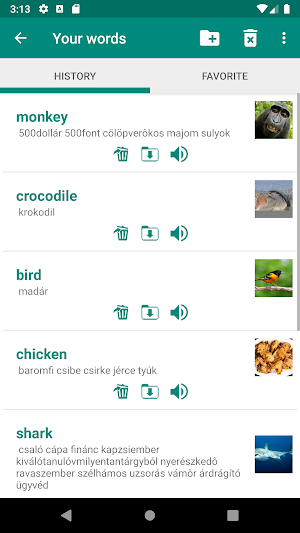 Hungarian English Dictionary Screenshot 3