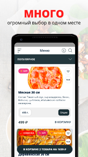FlyPizza | Челябинск Screenshot 0
