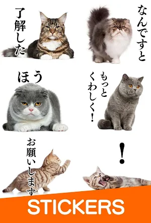 Cat Stickers Free Screenshot 0