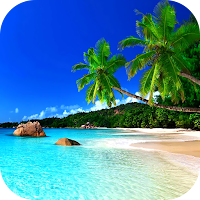 Summer Wallpaper 2024