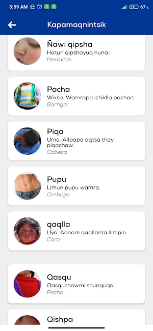 Diccionario Quechua Central Screenshot 3