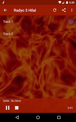 Turkey Radio Online Screenshot 2