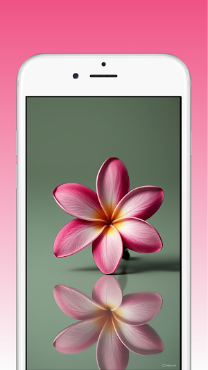 Plumeria Flower Wallpapers HD Screenshot 1