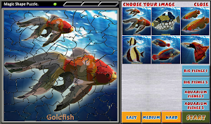 Magic Shape Puzzle 3 Screenshot 3
