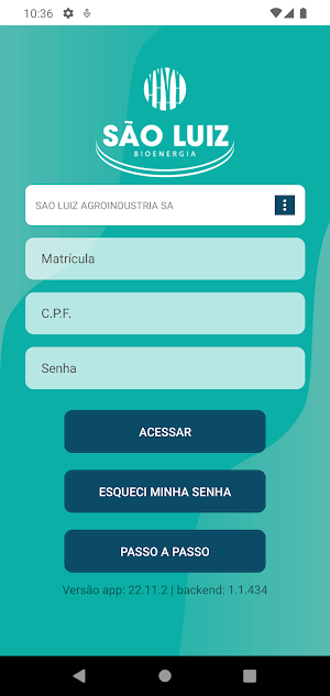 RH São Luiz Screenshot 0