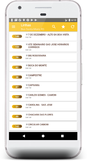 Bus Santa Maria - RS Screenshot 1