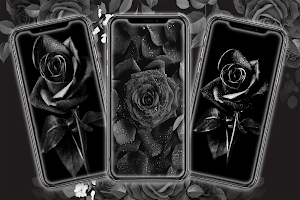 Black Flower Wallpaper Screenshot 1