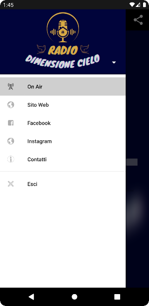 Radio Dimensione Cielo Screenshot 1