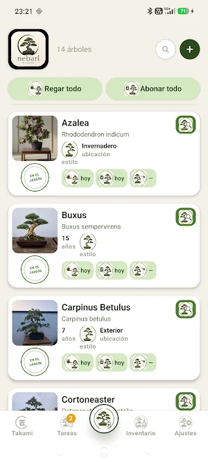 Nebari Bonsai Screenshot 0